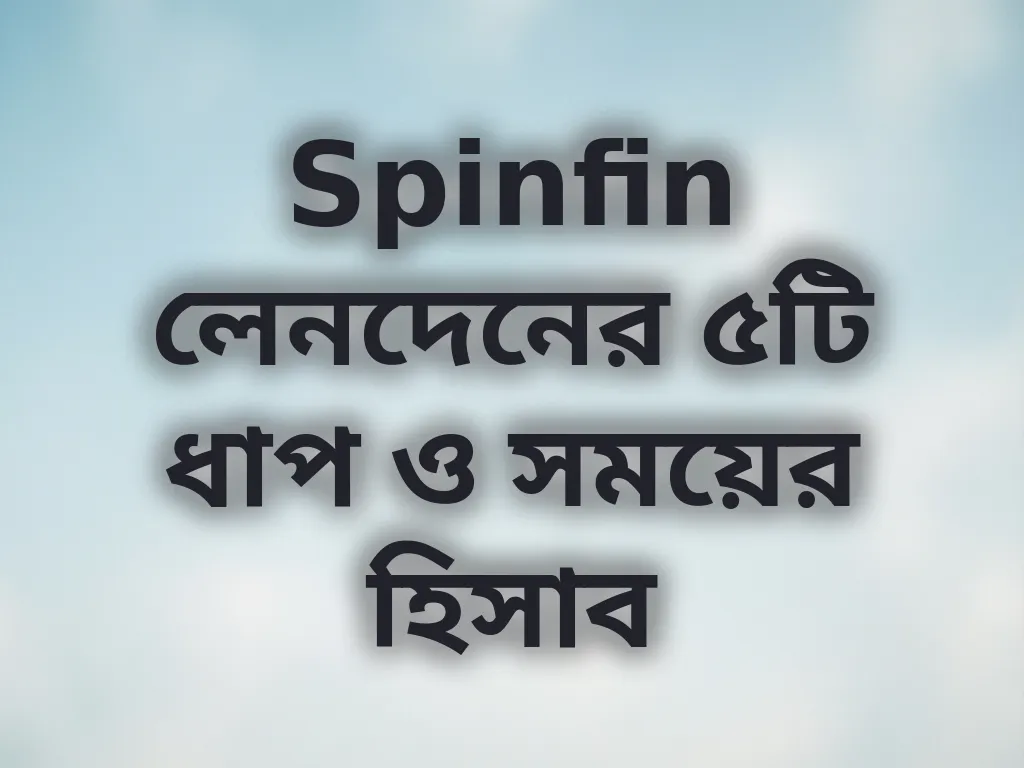 Spinfin লেনদেনের সময়